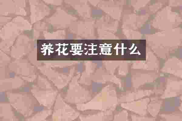 养花要注意什么