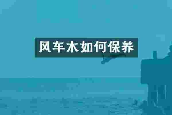风车木如何保养