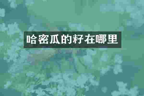哈密瓜的籽在哪里