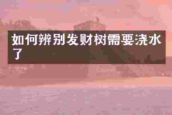 如何辨别发财树需要浇水了