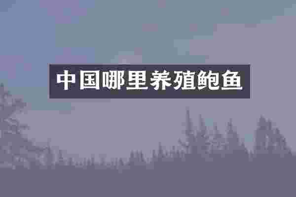 中国哪里养殖鲍鱼