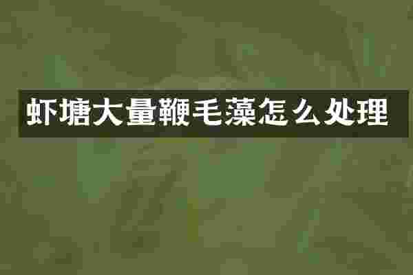 虾塘大量鞭毛藻怎么处理