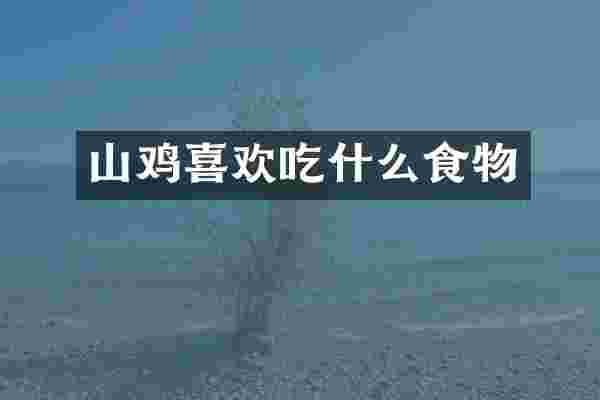 山鸡喜欢吃什么食物