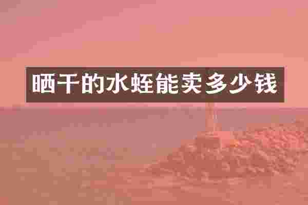 晒干的水蛭能卖多少钱