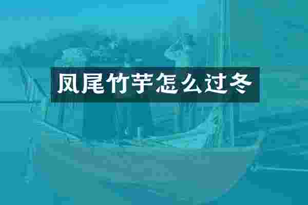凤尾竹芋怎么过冬