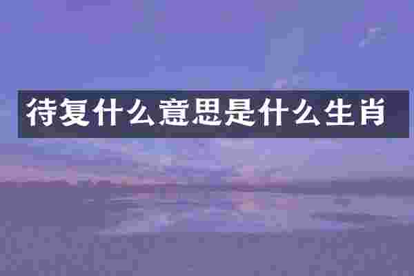 待复什么意思是什么生肖