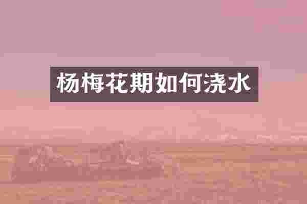 杨梅花期如何浇水