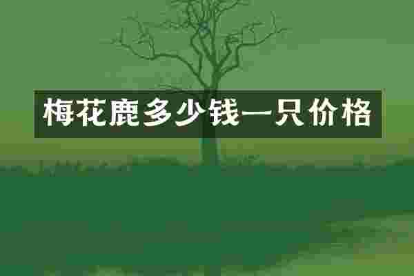 梅花鹿多少钱一只价格