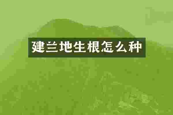 建兰地生根怎么种