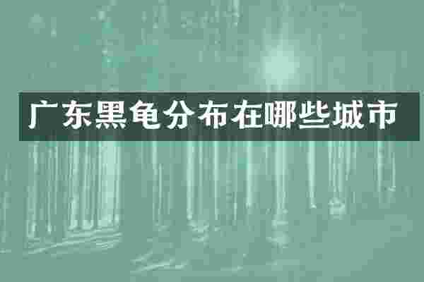 广东黑龟分布在哪些城市