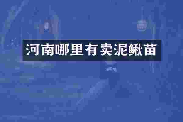 河南哪里有卖泥鳅苗