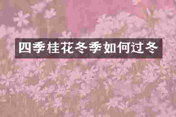 四季桂花冬季如何过冬