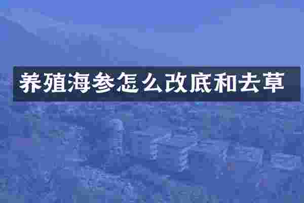 养殖海参怎么改底和去草