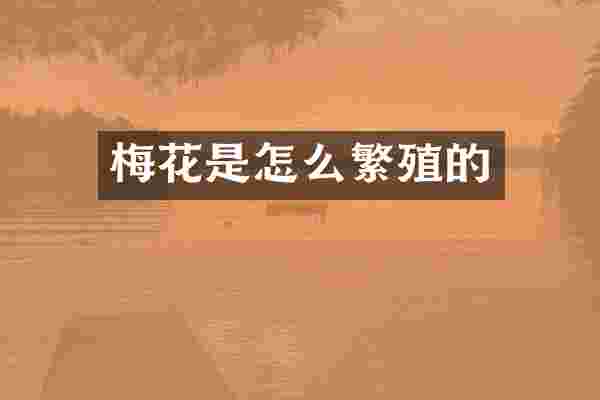 梅花是怎么繁殖的