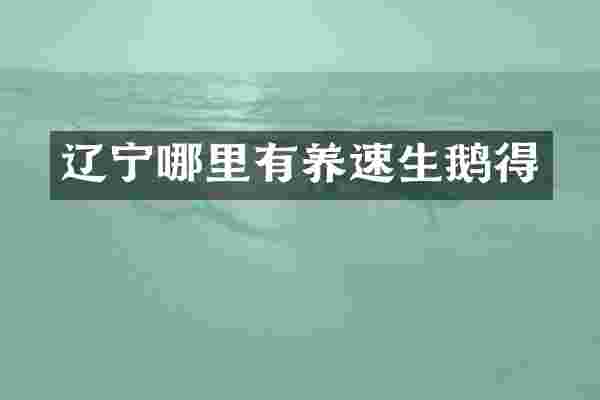 辽宁哪里有养速生鹅得