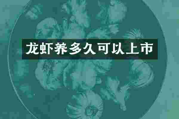 龙虾养多久可以上市