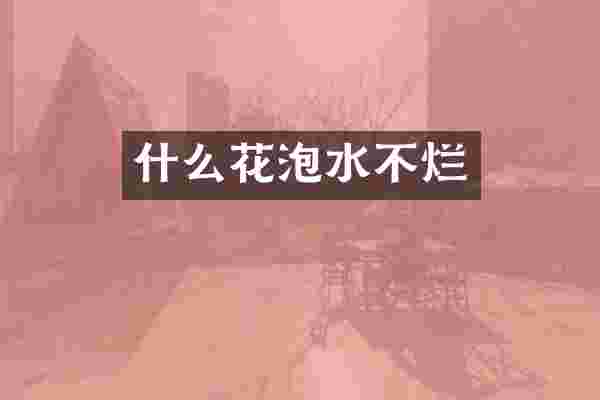 什么花泡水不烂