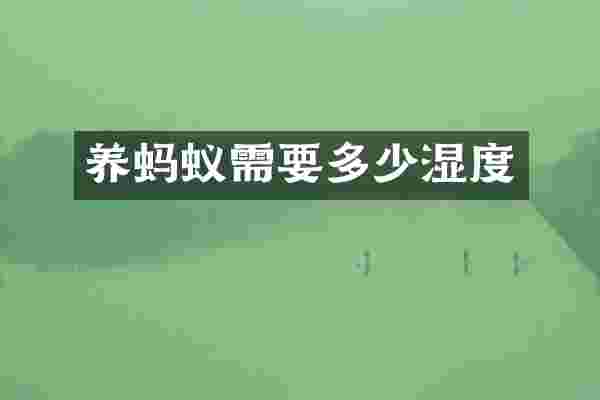 养蚂蚁需要多少湿度