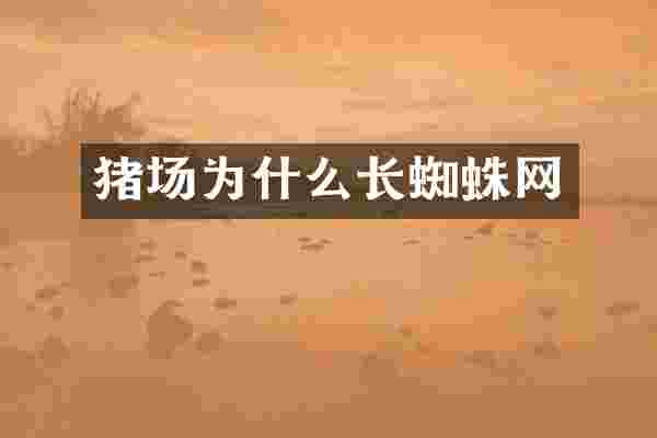 猪场为什么长蜘蛛网