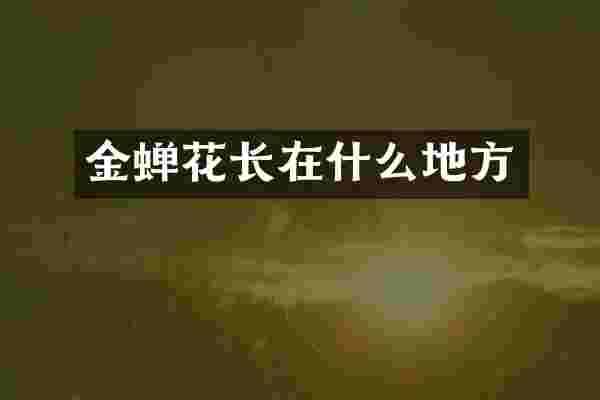 金蝉花长在什么地方