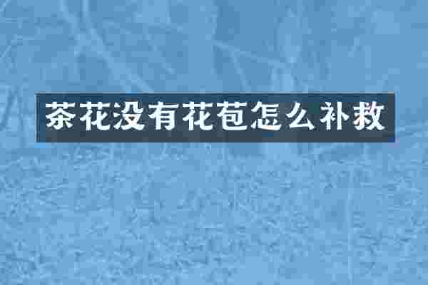 茶花没有花苞怎么补救