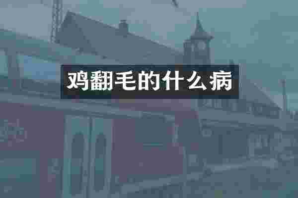 鸡翻毛的什么病