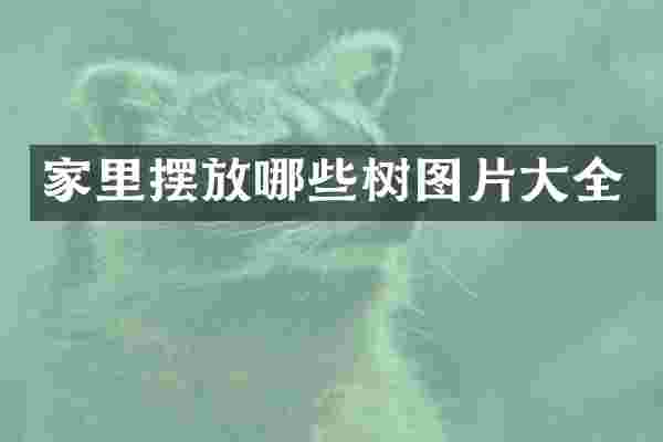 家里摆放哪些树图片大全
