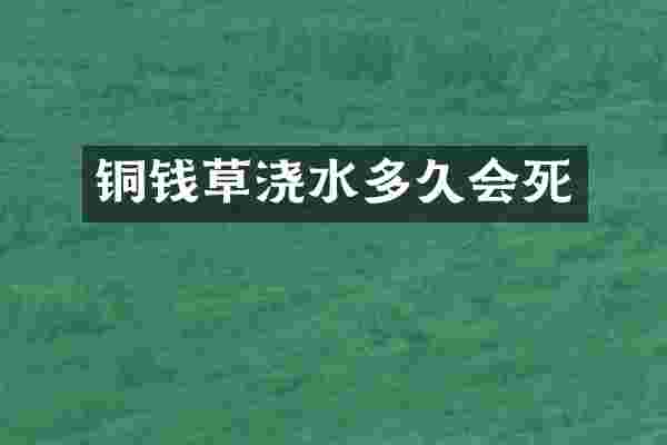 铜钱草浇水多久会死