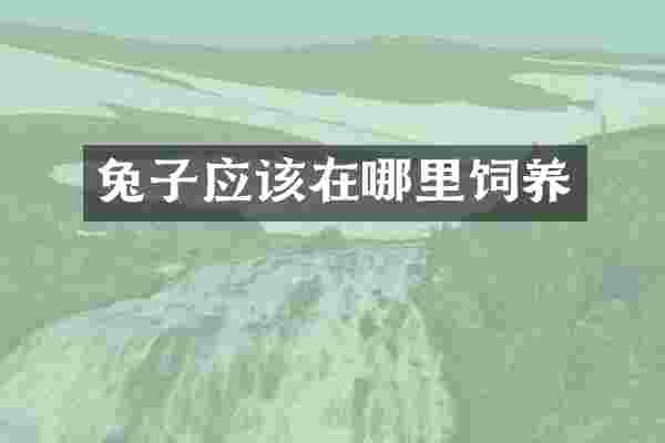兔子应该在哪里饲养