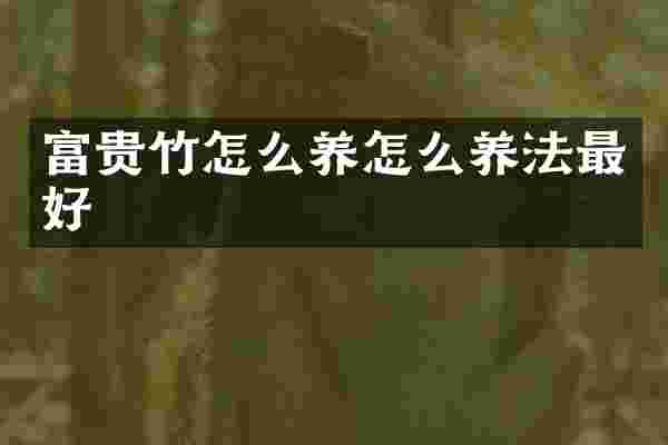 富贵竹怎么养怎么养法最好