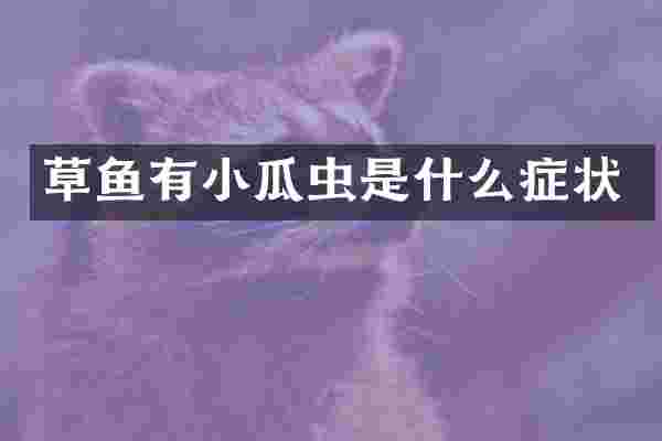 草鱼有小瓜虫是什么症状