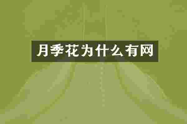 月季花为什么有网