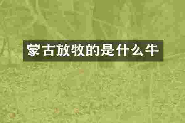 蒙古放牧的是什么牛
