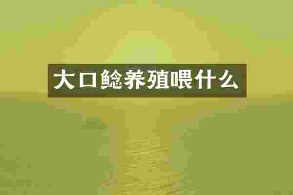 大口鲶养殖喂什么