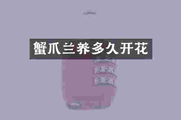 蟹爪兰养多久开花