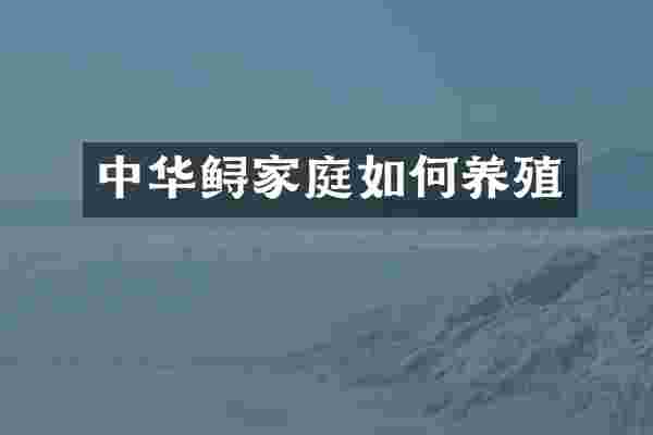 中华鲟家庭如何养殖