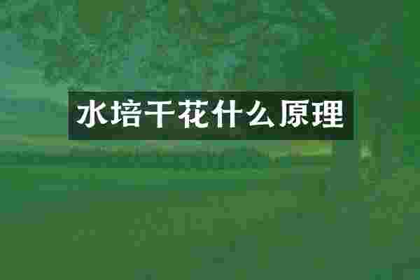 水培干花什么原理