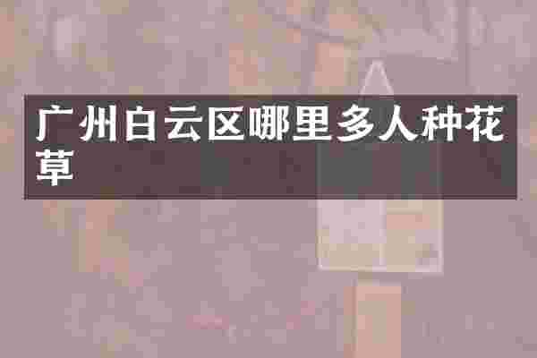 广州白云区哪里多人种花草
