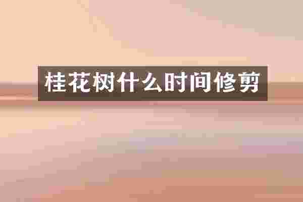 桂花树什么时间修剪