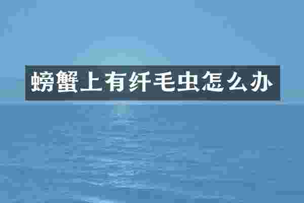 螃蟹上有纤毛虫怎么办
