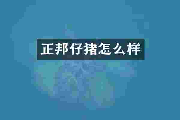 正邦仔猪怎么样