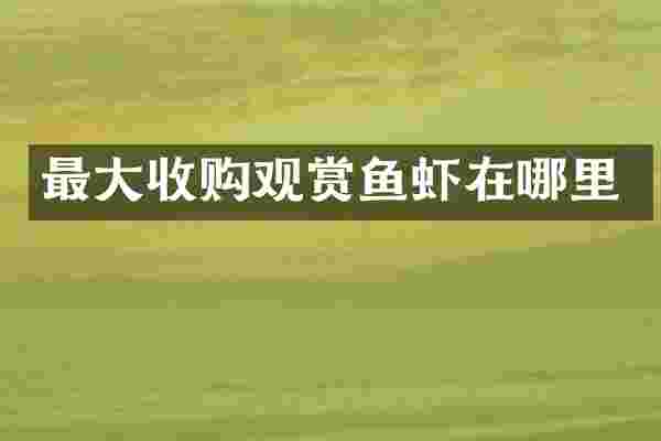 最大收购观赏鱼虾在哪里