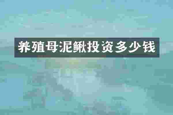 养殖母泥鳅投资多少钱