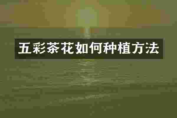 五彩茶花如何种植方法