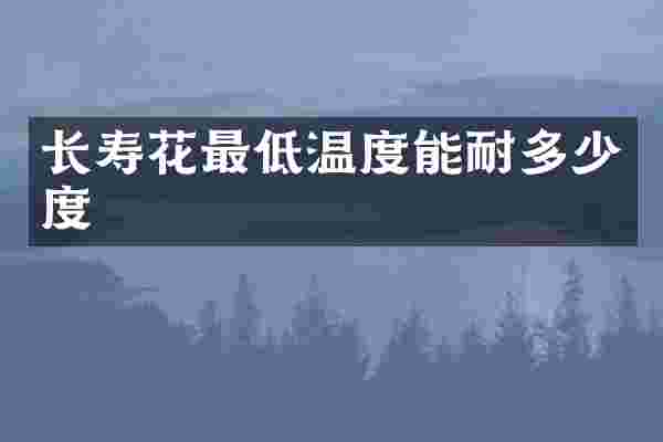 长寿花最低温度能耐多少度