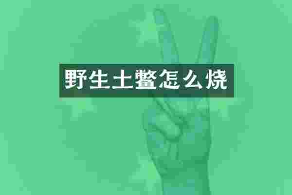 野生土鳖怎么烧
