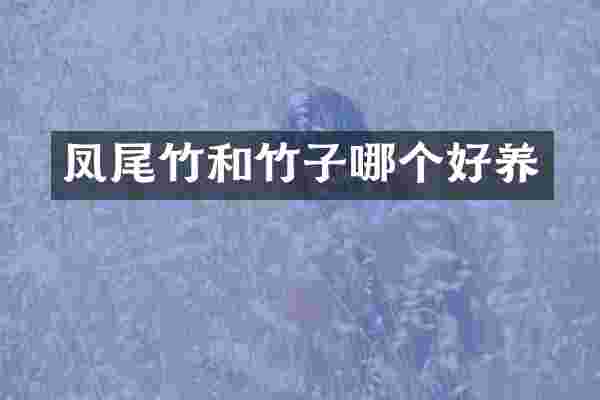 凤尾竹和竹子哪个好养
