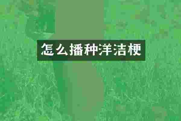 怎么播种洋洁梗