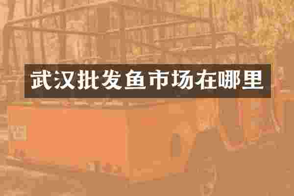 武汉批发鱼市场在哪里