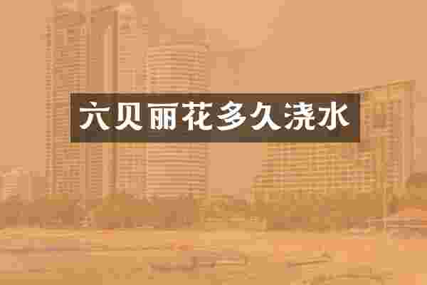 六贝丽花多久浇水